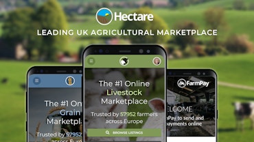 Cover image for Hectare