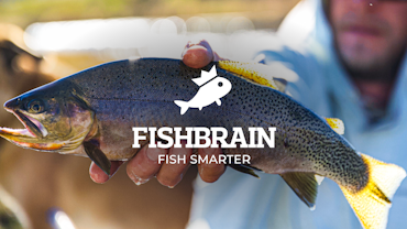 Cover image for Fishbrain
