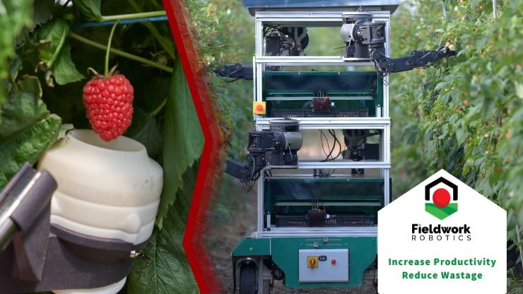 Fieldwork online robotics ltd